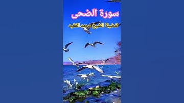 Sheikh Muhammad Al Faqih | Surah Ad Duha | Learn Quran Deeply | سورة الضحى | محمد الفقيه