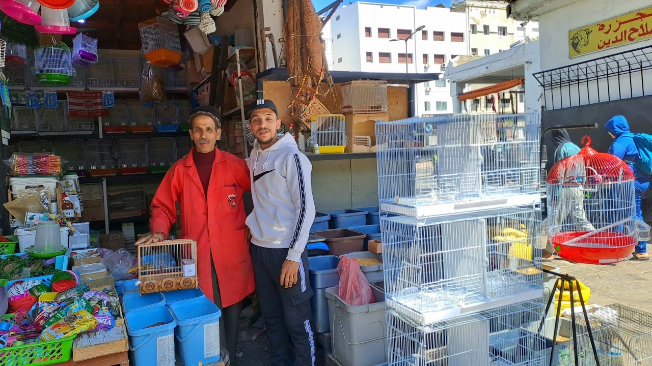سوق القريعة للطيور 🇲🇦2024 اثمنة الحبوب وجميع مستلزمات الطيور والحيوانات عند ياسين وبا جيلاني