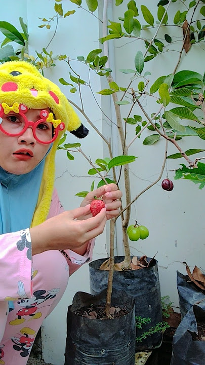 JANGAN DIPETIKK #funnyvideo #comedy #trendingshorts #videolucu #lucu #hiburan
