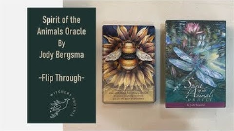 Flip Through : Spirits of the Animals Oracle [Music & Cards] [4K] #Oracle #Flipthrough