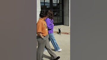 Oreo the resource guarder 😈 link in bio for online training :)