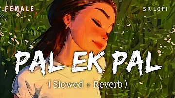 Pal Female (Slowed + Reverb) | Jalebi | Shreya Ghoshal | SR Lofi