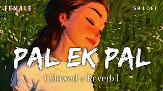 Pal Female (Slowed   Reverb) | Jalebi | Shreya Ghoshal | SR Lofi