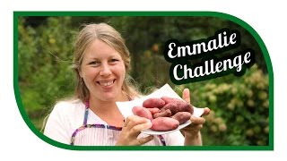 Kartoffeln anbauen | im Sack und der Tonne | #EmmalieChallenge2016