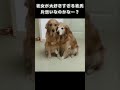 彼女が大好きすぎる彼氏、片想いなのかな…？
