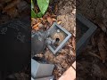 shelly / Relais/ Taster anschließen #smarthome #shelly #elektrotechnik #elektriker