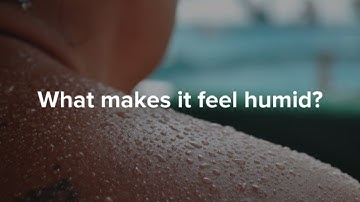 The science behind humidity: why does it feel so sticky?