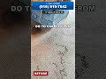 Watch this carpet come back to life