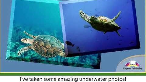 Excel 6 module 3 Experience of a life time