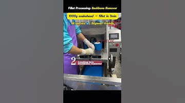 Customer factory real shot video-FISH FILLET MACHINE FOR SNAKEHEAD