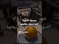 قصةعمر بن الخطاب رضي الله عنه وفتح المقدس بدر المشاري عمر بن الخطاب Explore Shorts قصص الصحابة