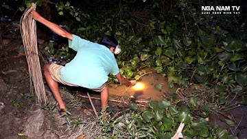 Cắm Câu Cá lóc Dính Toàn Hàng Khủng Thấy Mê/Fish Trap/NGÃ NĂM TV