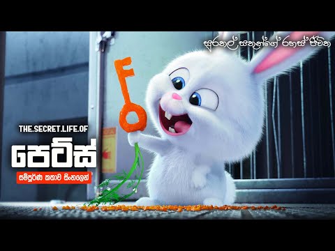 සුරතල් සතුන්ගේ රහස් ජීවිත | The secret life of pets full movie in sinhala