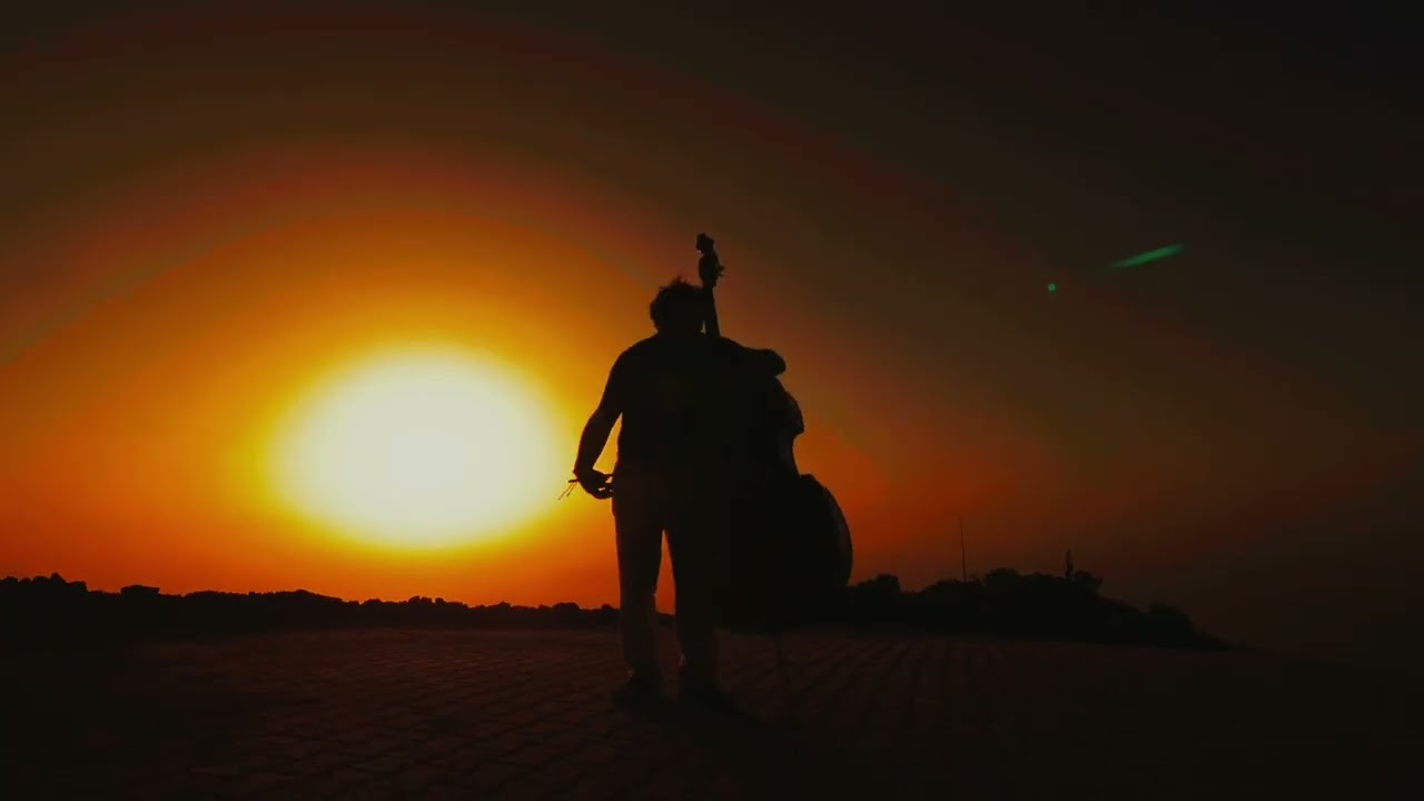 DIBOX  - Reflejos feat 505Y  ( Visualizer) 