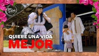 Itzel Deja Su Comunidad Mazahua Para Buscar Trabajo En La Ciudad De Buena Semilla 15