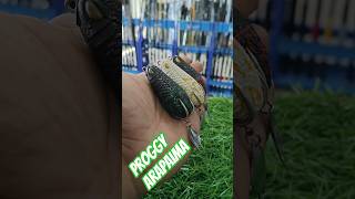 🔥Proggy Arapaima🐸 @ Lucky Fishing Tackles, Coimbatore📍#tamilsnakeheadangler #tamilfishing #fishing