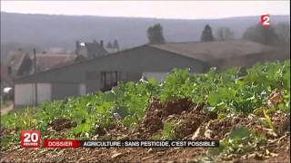 Infos de France 2, 20h, 15-04-13, Agriculture sans engrais, si possible.