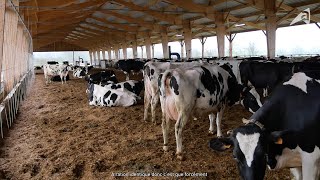 Un nouveau bâtiment, l'opportunité d'allier bienêtre animal et économie d'énergie