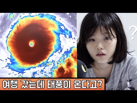 라임이네 긴급 가족회의 | 제주여행 브이로그 Let&amp;#39;s go <strong>travel</strong> on <strong>jeju</strong> <strong>island</strong>