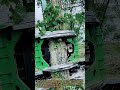 유압식 그래플 쏘를 활용한 안전한 수목 벌채 기술 #worker #process #arborist #treecutting #technology