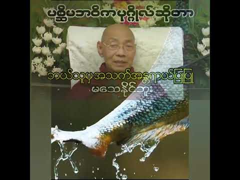 ပစ္ဆိမဘဝိကပုဂ္ဂိုလ်ဆိုတာ #ပါမောက္ခချုပ်ဆရာတော်တရားတော်