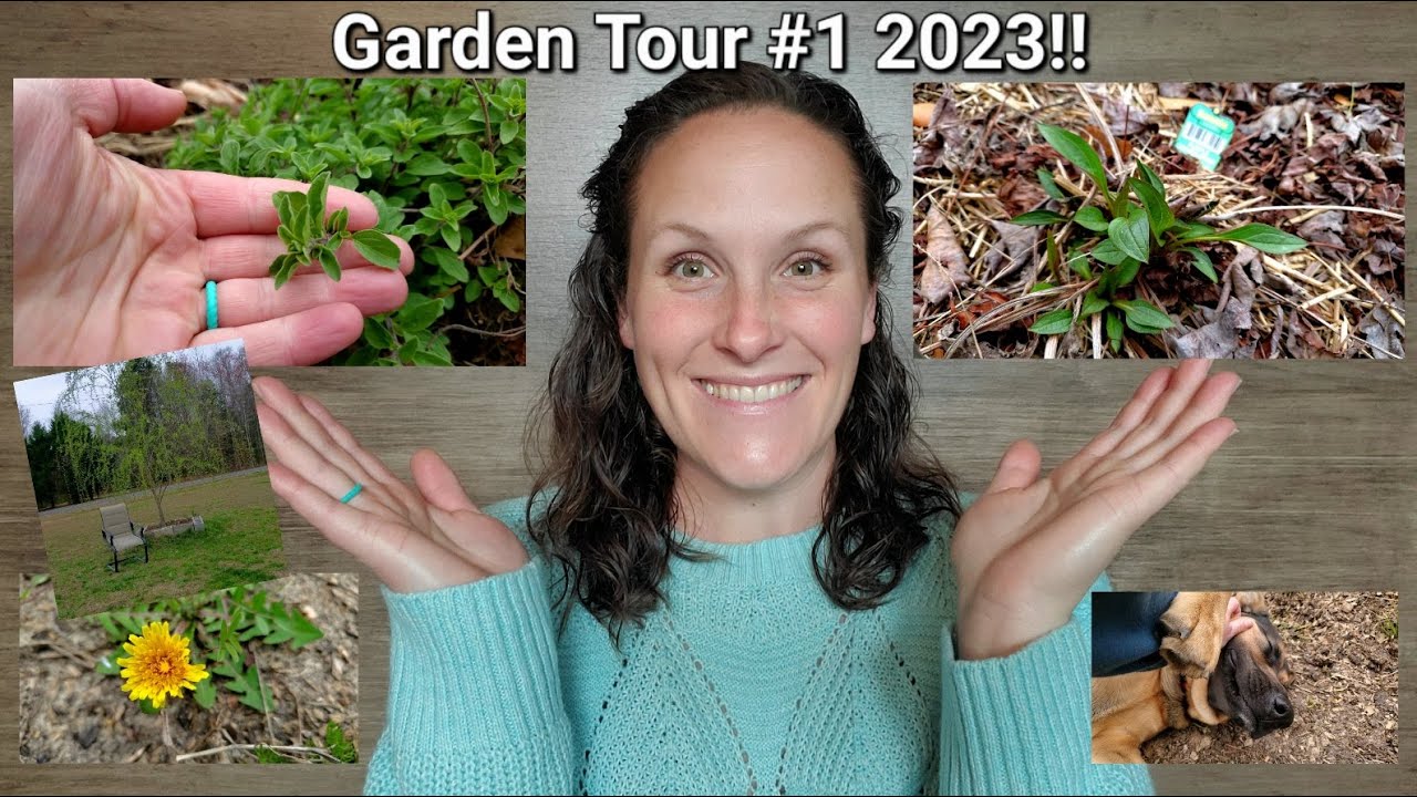 Garden Tour 1 2023!! YouTube
