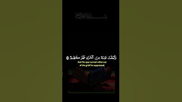 القرآن الكريم _أجر لي ولكم _أرح سمعك وقلبك _أكتب شيء تؤجر عليه #🌿🦋🌹