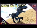 PLAY AS A DINO, THE RAPTOR | ARK SURVIVAL EVOLVED