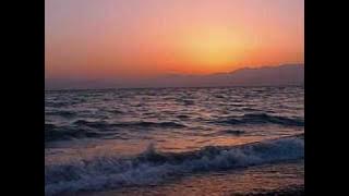 Zedbazi - Zamin Safe