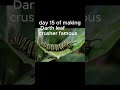 day 15 of making Darth leaf crusher famous