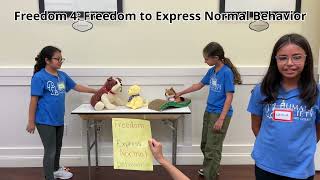Five Freedoms Week 5