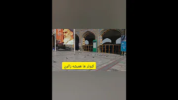 درحریم عاشق ماندن ی خواستن دوطرفه اس من همچون کبوترها جلد حرم امام رضا ع شدم 