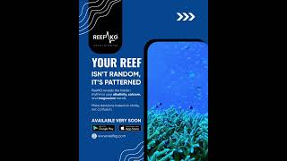 Every reef has a rhythm — hidden in youralkalinity, calcium, and magnesium curves.