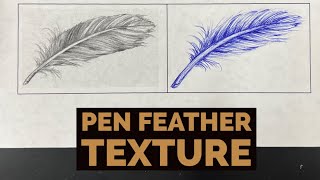 Feather in Pen