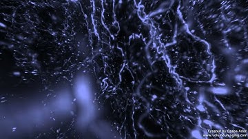 3D volume imaging - WHITE ADIPOSE TISSUE MOVIE 4