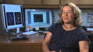 2006 Albert Lasker Basic Medical Research Award - Greider Chooses Biology