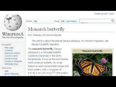 खाद्य वेब में तितली कैसे फिट होती है?