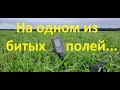 Simplex+ на одном из битых полей. Simplex+ on one of the broken fields.