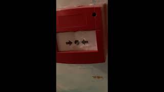 Call point wall system test 4 (changes happend)