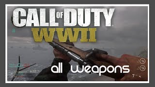 Call of Duty WW2 - All Weapon sounds and reload animations (Beta 2)