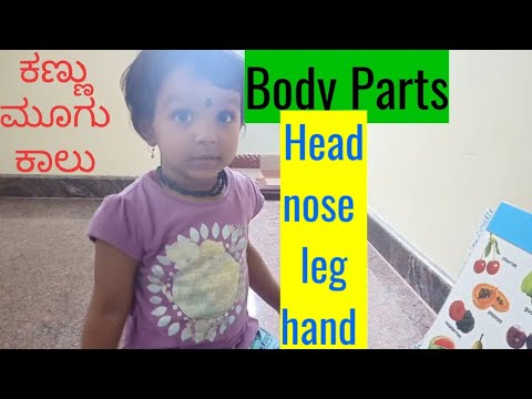 ಬಾಡಿ ಪಾರ್ಟ್ಸ್ | body parts for kids | Kannadavlog | Body Parts in