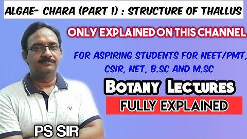ALGAE-Chara (Part-1) | Structure of Thallus | NEET/PMT,CSIR,NET,B.Sc,M.Sc| PS Sir |Botany