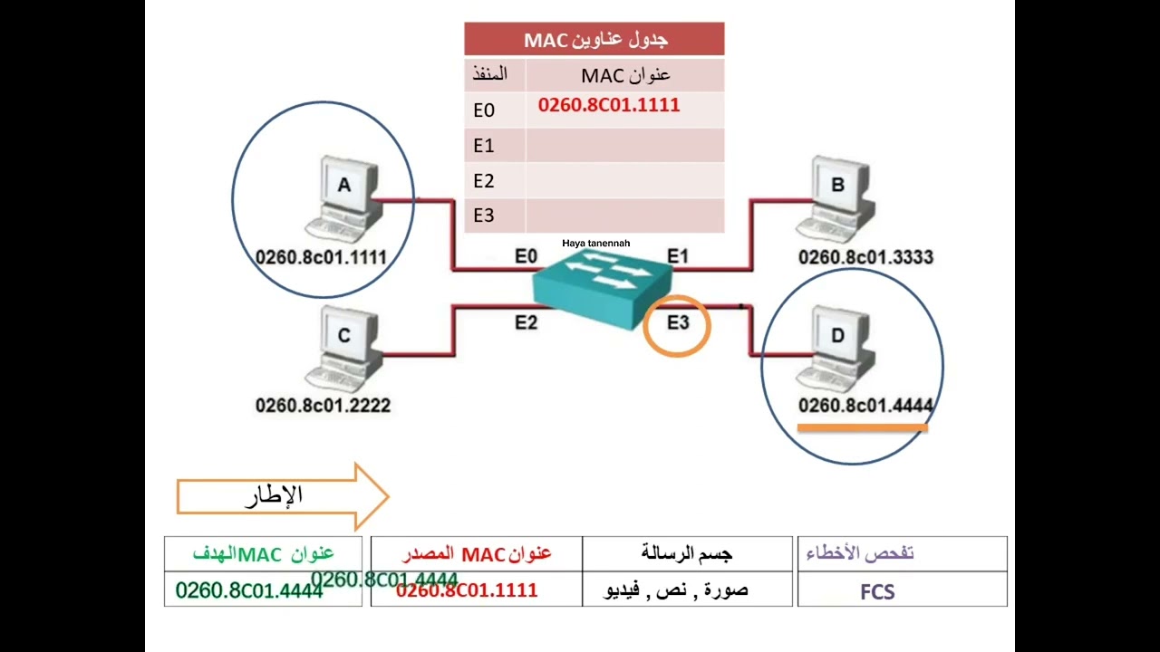 مبدأ عمل محول الشبكة المحلية توجيهي ادبي