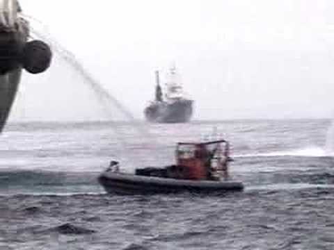 Greenpeace Blocks Whaling Fleet S Factory Ship In Antarctica Youtube