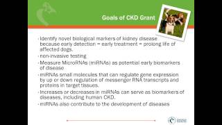 2014 Renal Disease Research Program Area Grants by AKC Canine Health Foundation 28 views 10 years ago 5 minutes, 33 seconds
