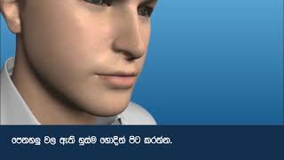 Revolizer Sinhala