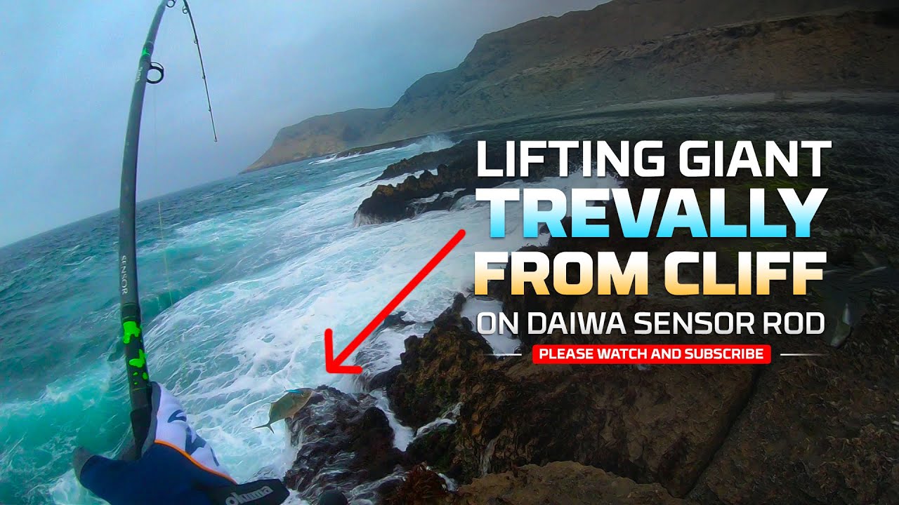 BEST FISHING ROD FOR SHORE AND CLIFF FISHING