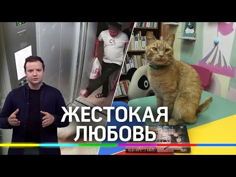 Живодеры среди нас - откуда у людей такая жестокость к "братьям нашим меньшим"?