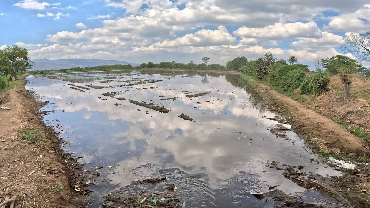 Mira que bonito es el campo. Parcelas de Zapotitán El Salvador 🇸🇻 