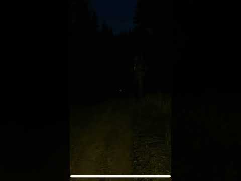 Dayz Most Horrific